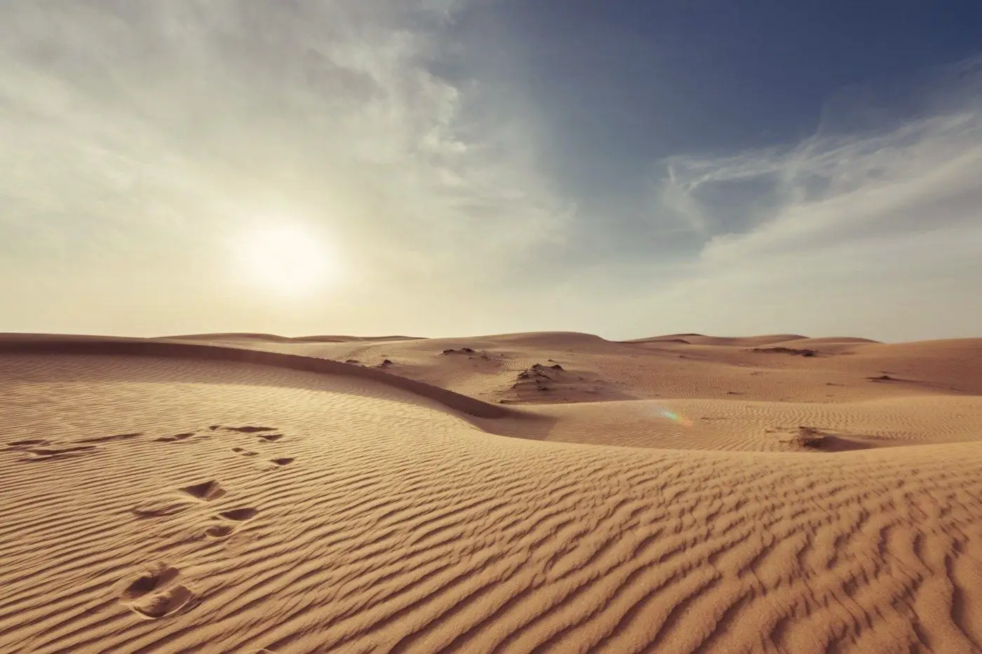 Wind-rippled sand dunes glowing under a low desert sun