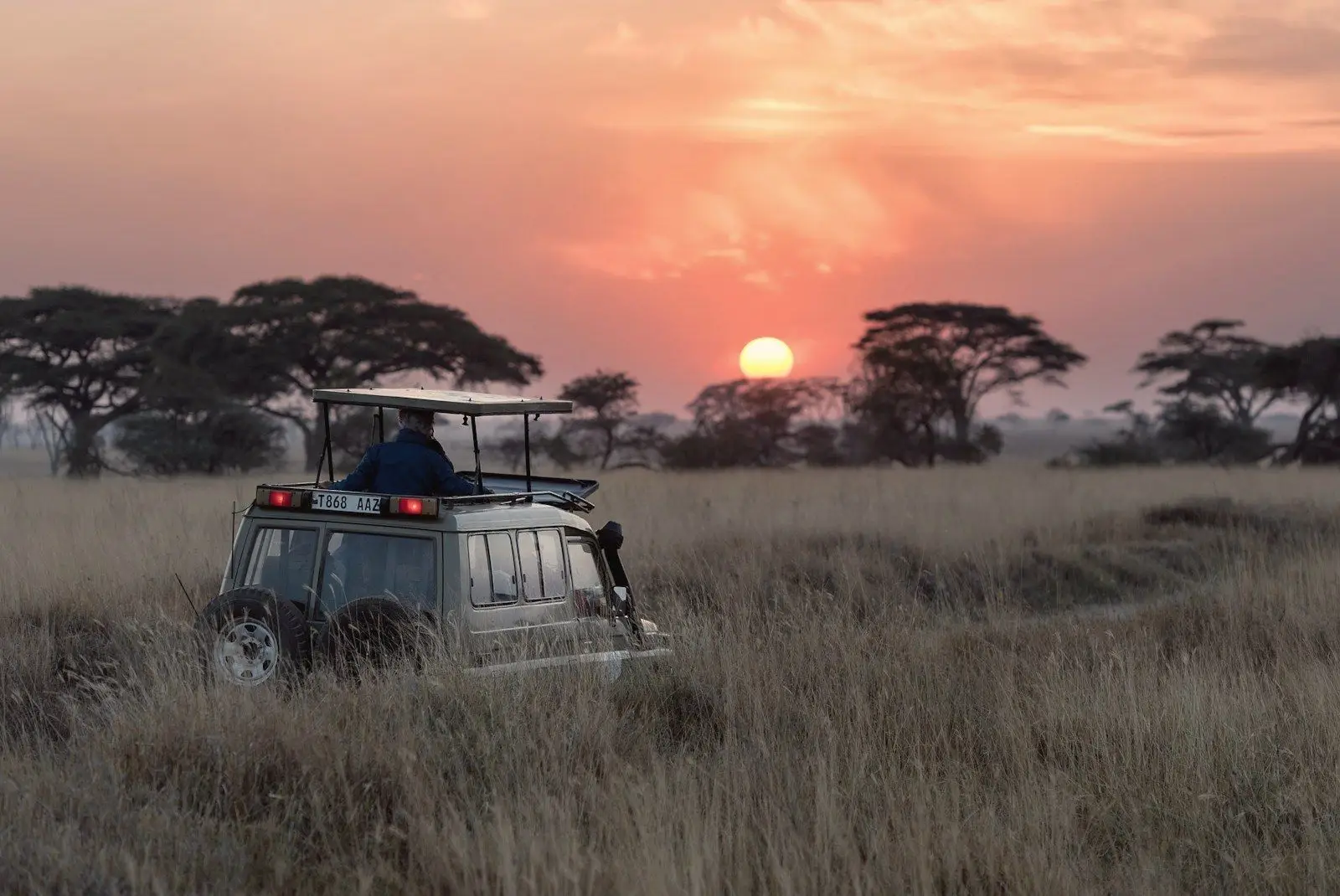 A safari vehicle in tall grass as the sun sets behind acacia trees