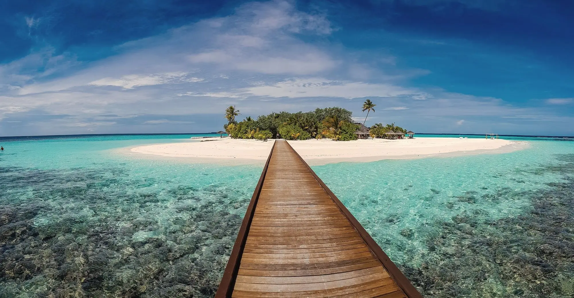 A long wooden jetty stretching across clear water towards a small palm-covered island