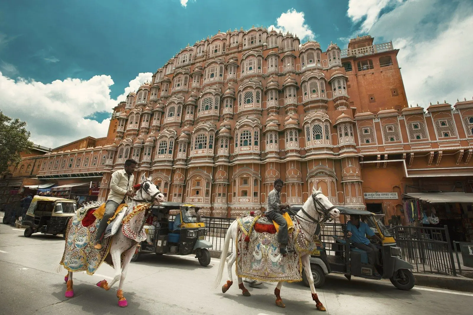 Decorated horses passing the pink façade of the Hawa Mahal in Jaipur