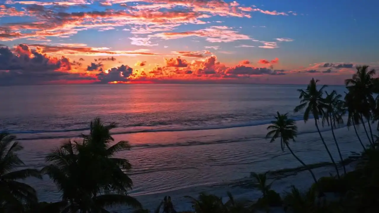 A palm-fringed beach under a blazing sunset sky